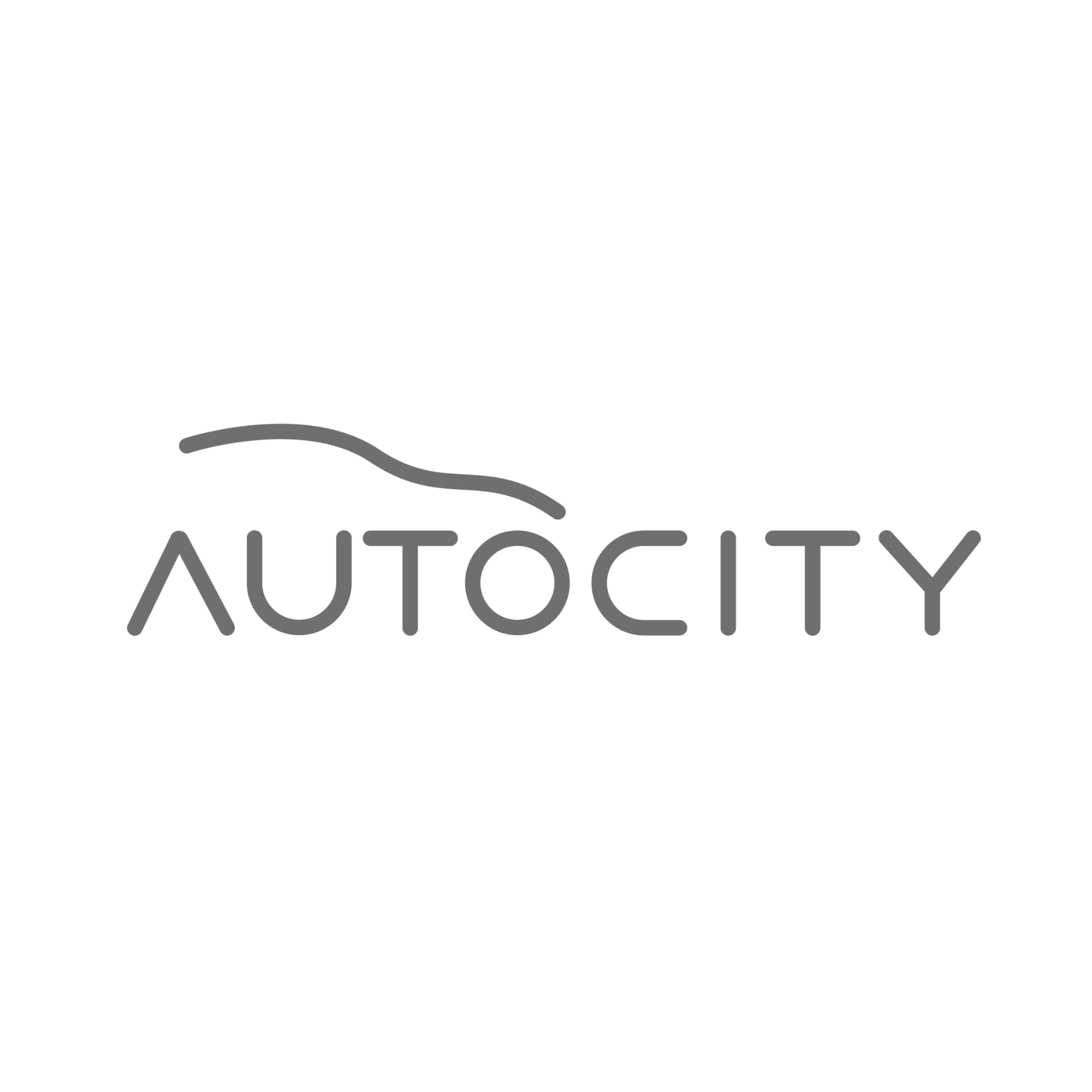 CONCESIONARIAS AUTOCITY